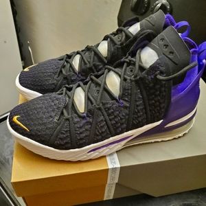 LeBron James Nike Shoes